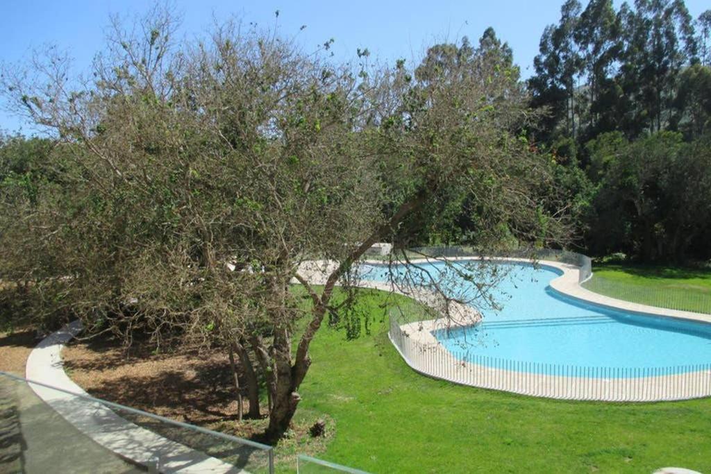 Apartamento Maravilloso Departamento En ,primer Piso Papudo